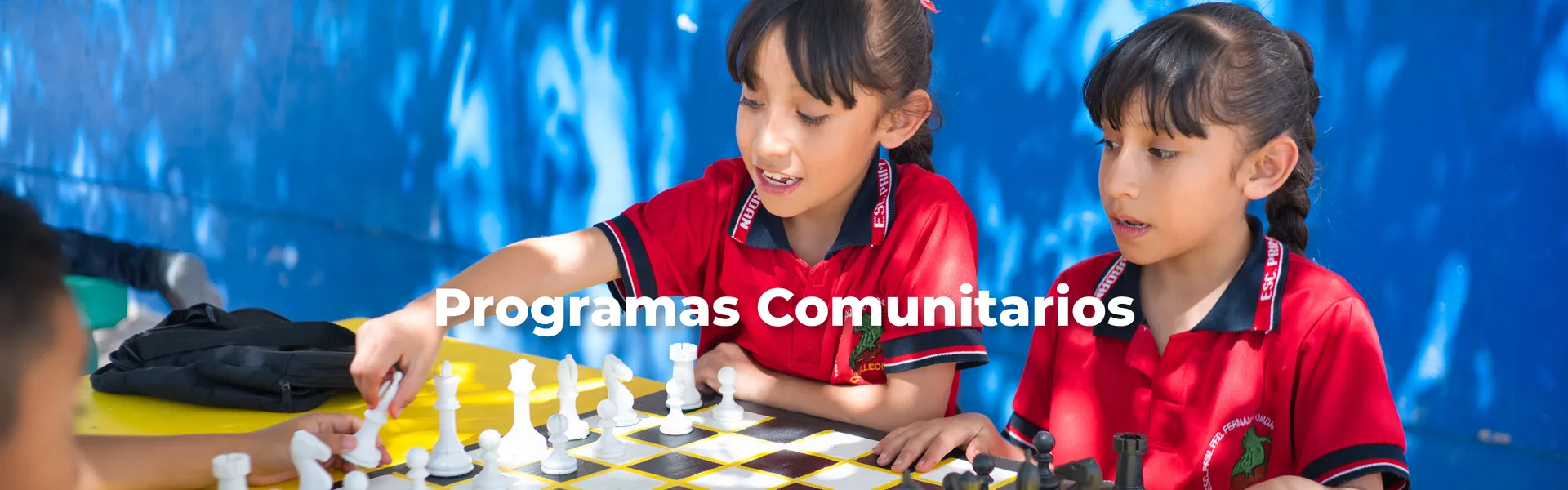 Programas Comunitarios FEMAP