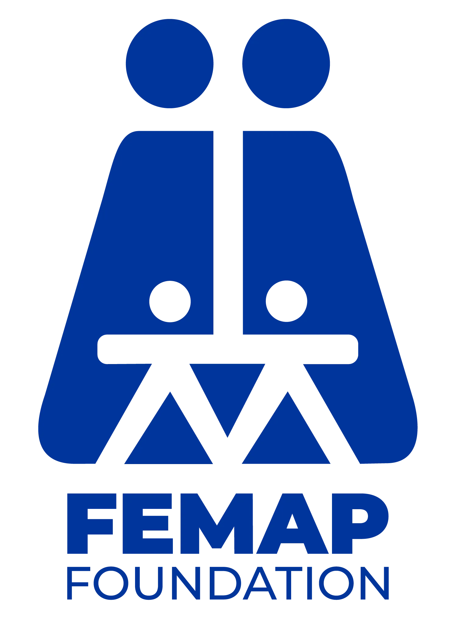 FEMAP Foundation