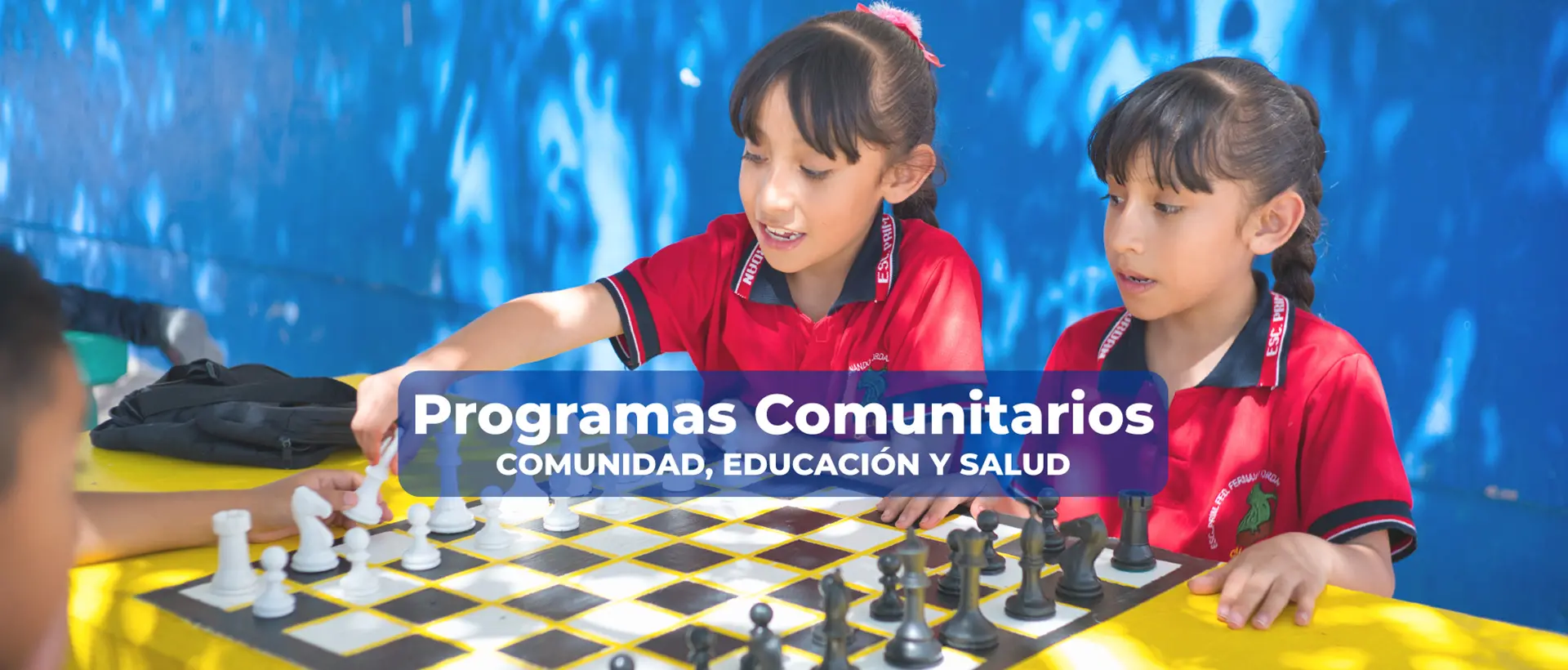 Programas Comunitarios FEMAP